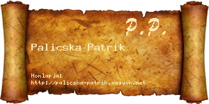 Palicska Patrik névjegykártya