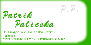 patrik palicska business card